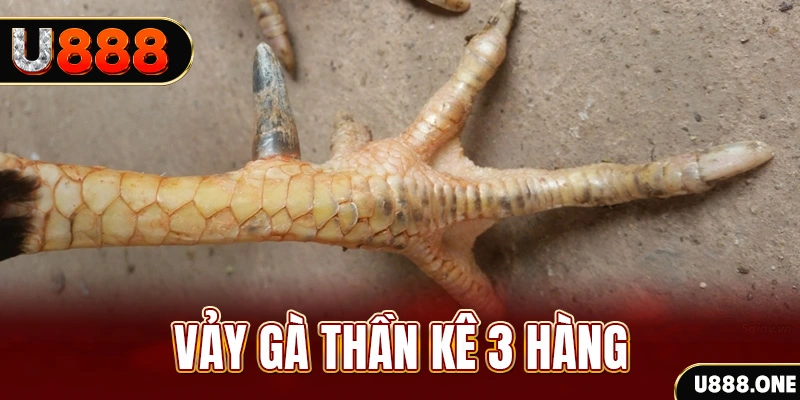 bet188 nổ hũ đổi thưởng . ai