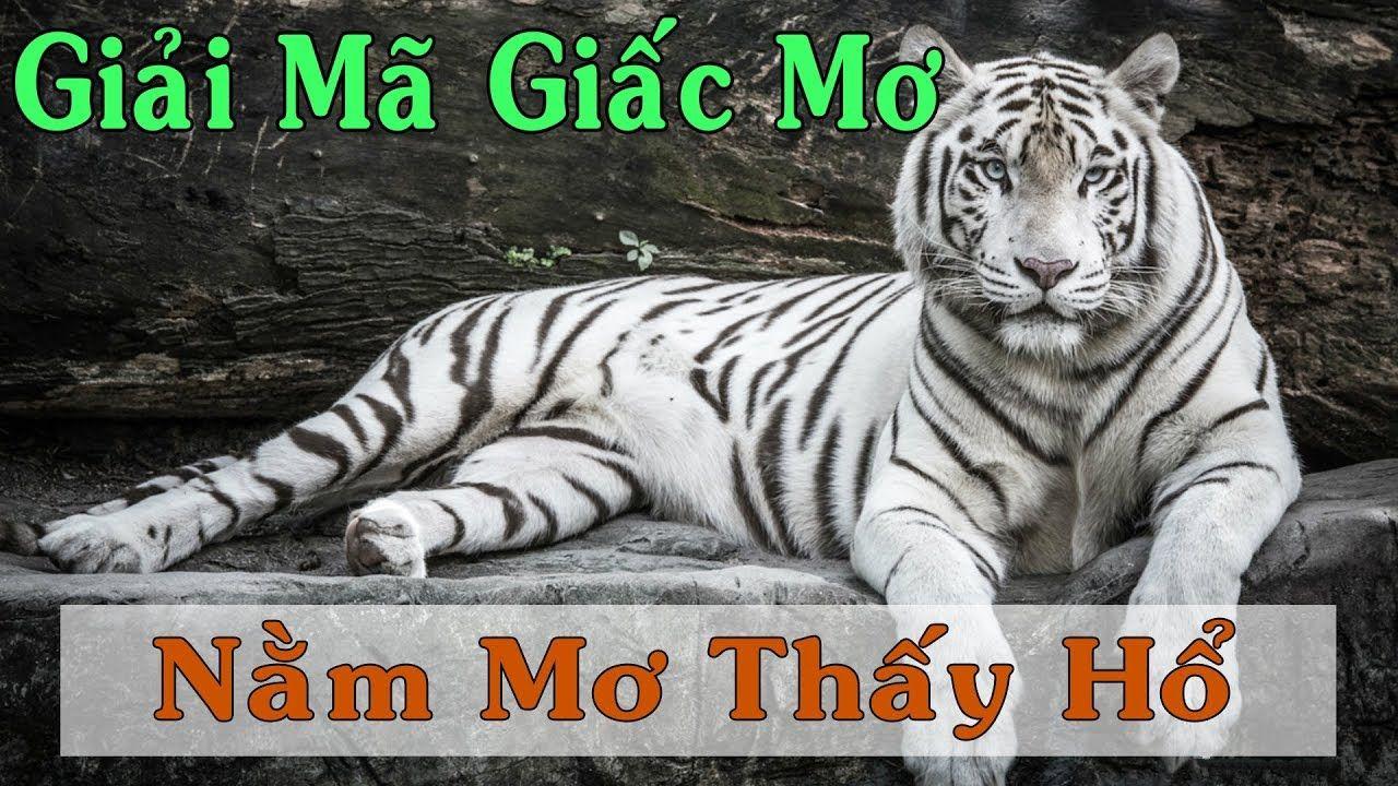 xổ số miền trung