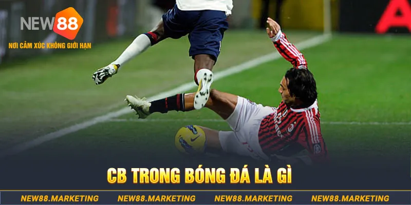bet188 gà chọi c1 gold city