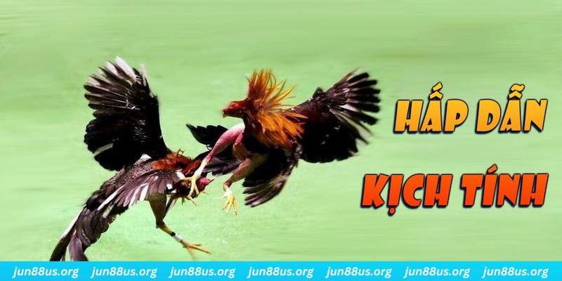 bet188 bắn cá long vương