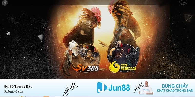 bet188 xổ số miền nam hàng tuần