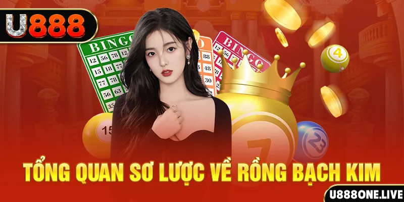 bet188 how to win at slot machines
