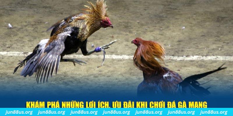 bet188 Tài Xỉu 2
