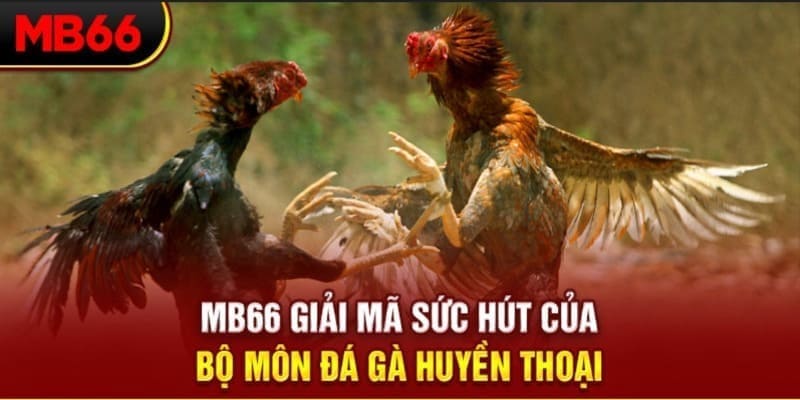 bet188 long bảo trong baccarat là gì