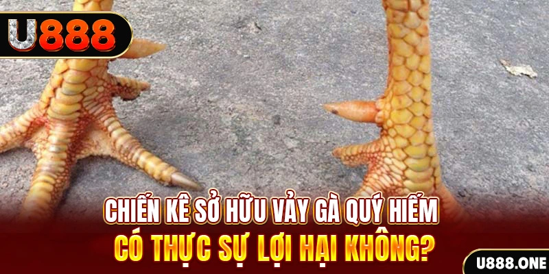 bet188 game cá cược máy bay