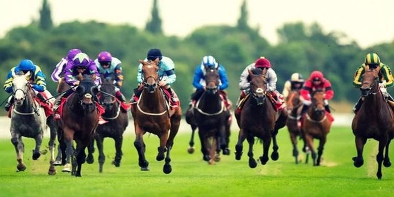 bet188 xổ số miền bắc thứ hai