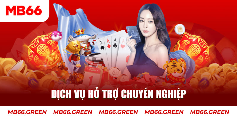 bet188 gà chọi cậu thanh