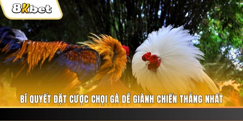bet188 may club nổ hũ