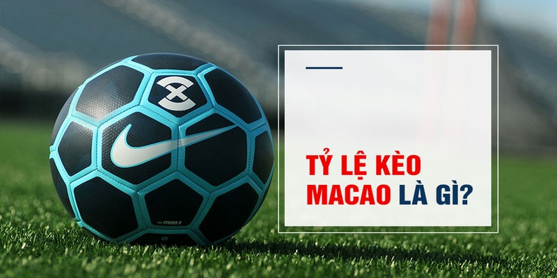 bet188 Trăm Knorr