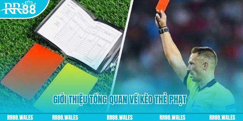 bet188 đá gà trực tiếp c1